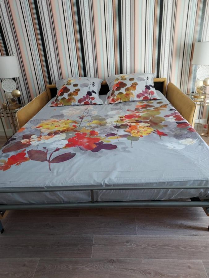 Rez-De-Chaussee Privatif Spacieux 3* D'Une Villa Centre Ville อิแยร์ ภายนอก รูปภาพ